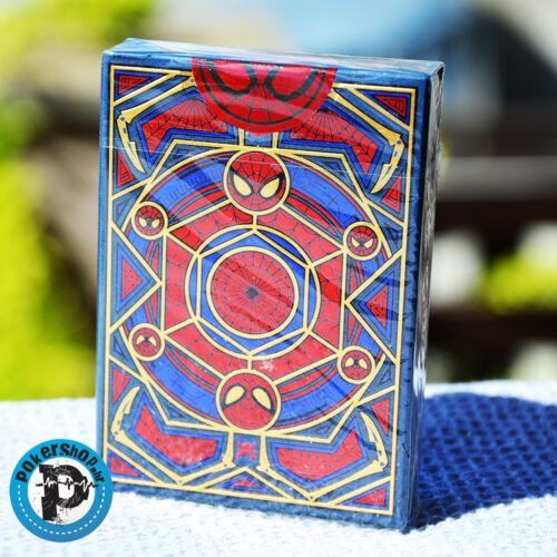 Spiderman theory11 b